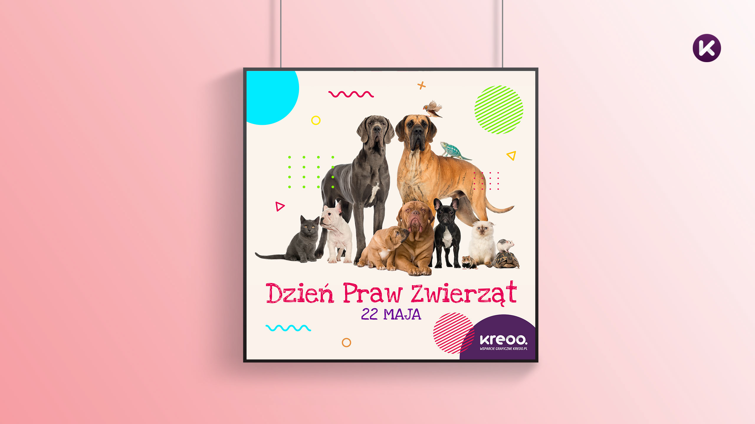 Grafika reklamowa dla schroniska dla zwierzat