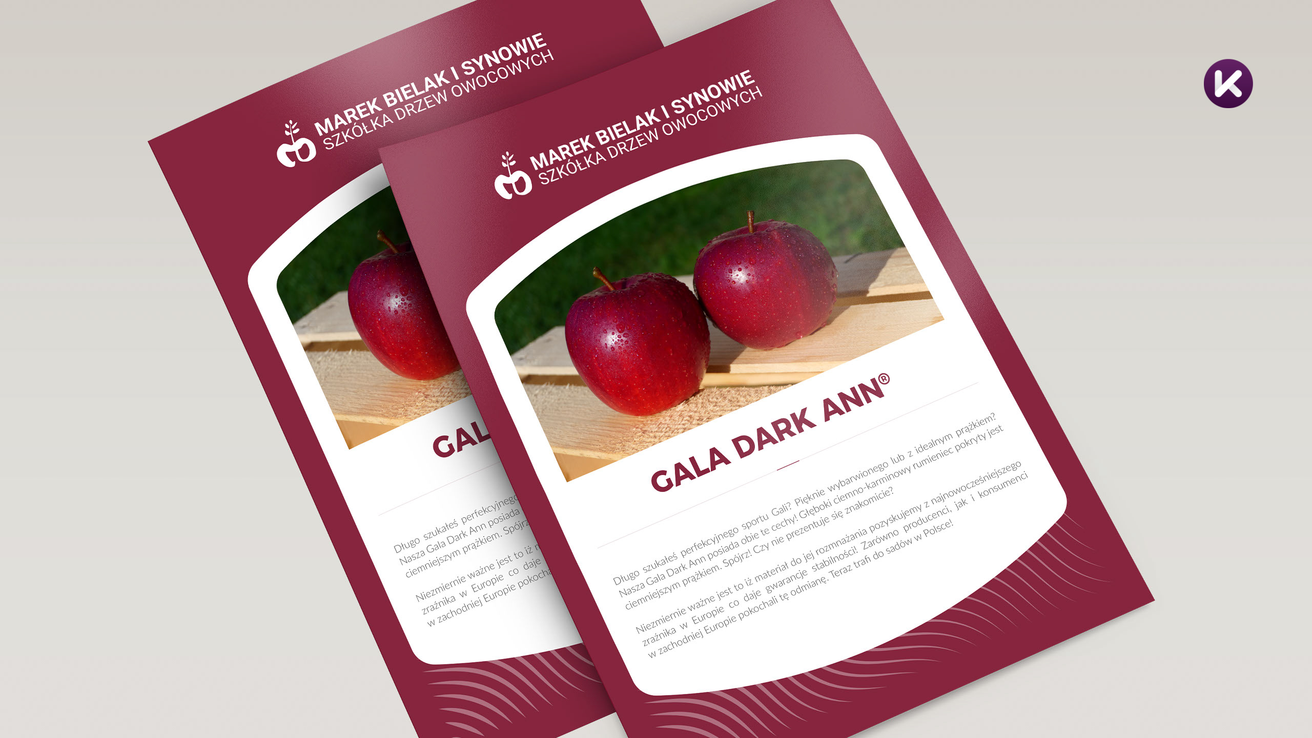 Karta odmian szkółki Marek Bielak i Synowie - Gala Dark Ann