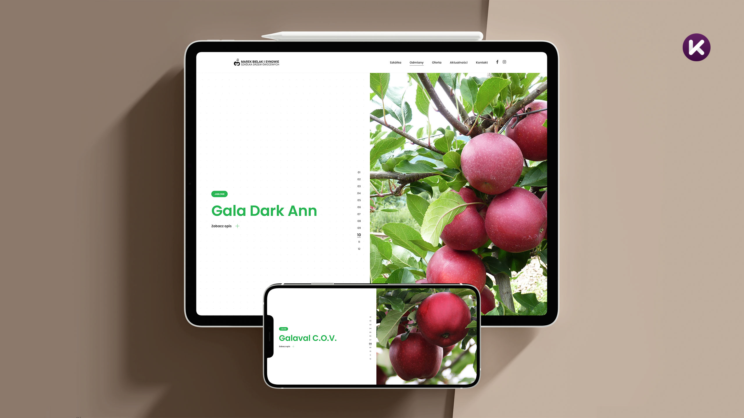 Oferta szkółki drzew owocowych - Gala Dark Ann