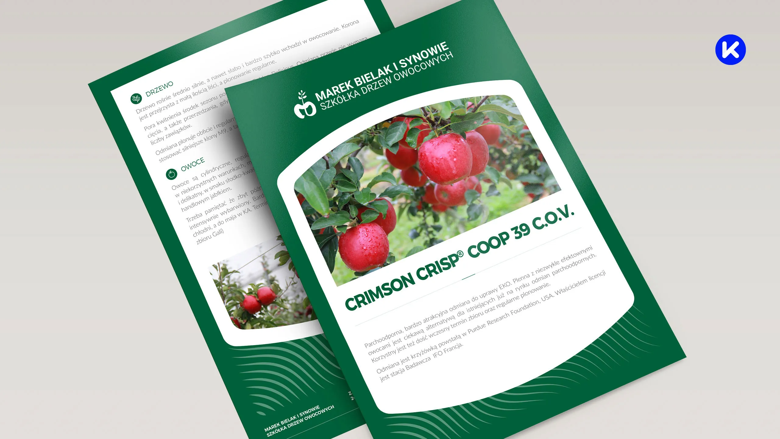 Projekt karty odmiany Crimson Crisp Coop 39 C.O.V. dla szkółki Marek Bielak i Synowie z fotografią czerwonych jabłek i opisem cech drzewa oraz owoców.