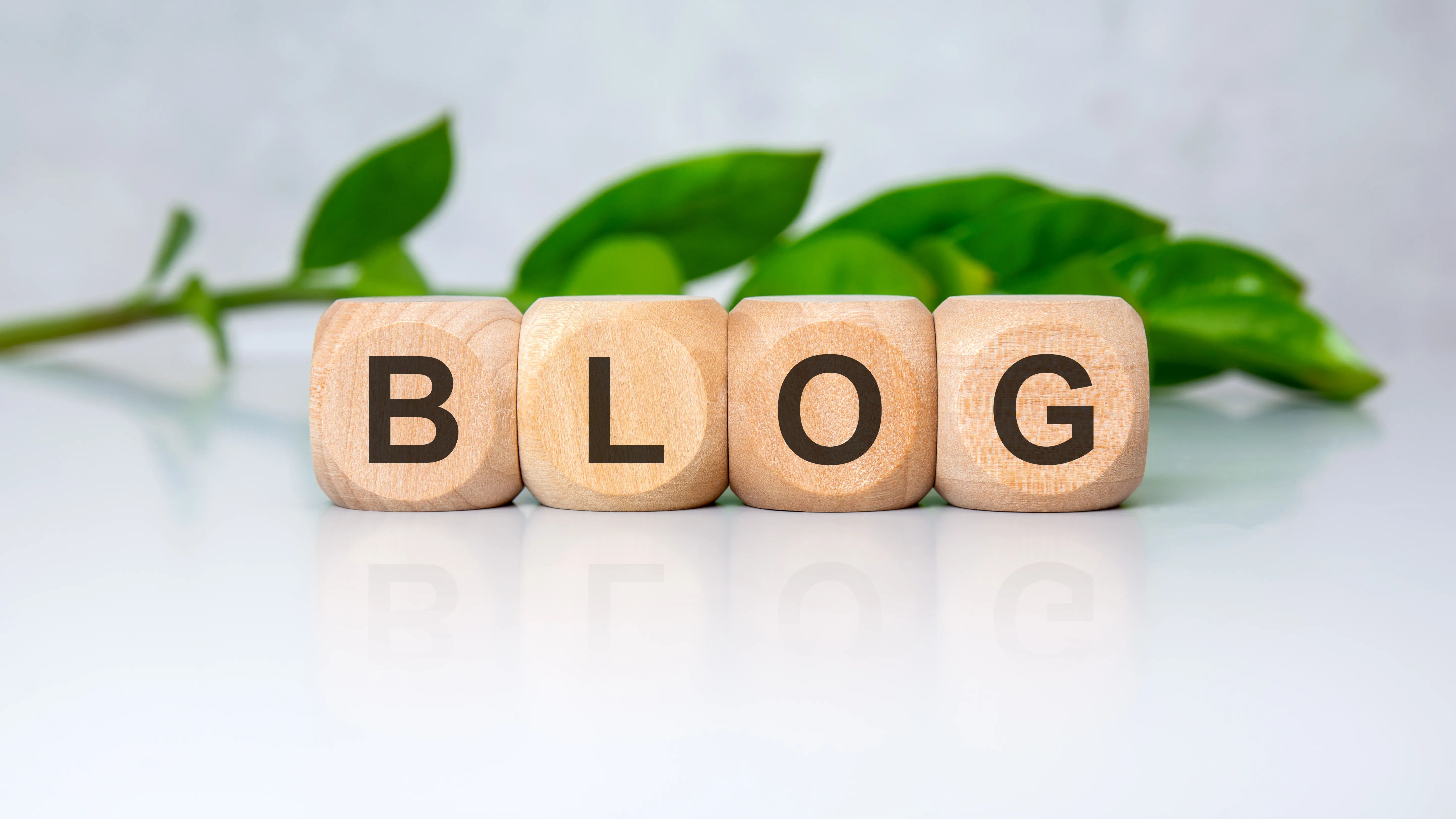 Blog firmowy wspierający widoczność strony i planowanie treści SEO